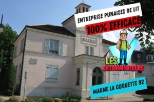 traitement punaises de lit marne la coquette