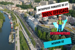 traitement punaises de lit meudon