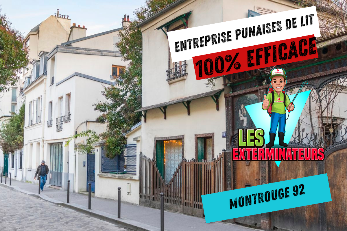 Traitement punaises de lit Montrouge