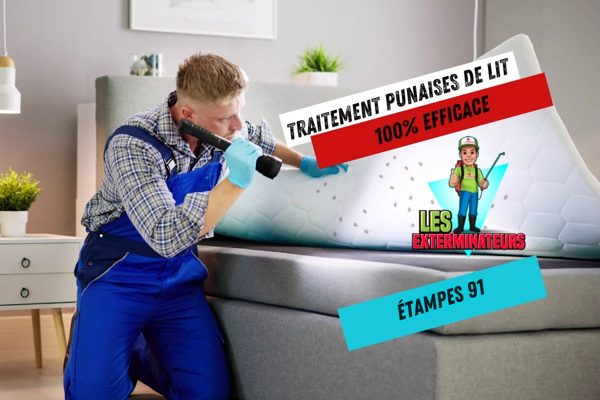 Entreprise punaises de lit Étampes 