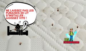 dangers punaises lit paris 1