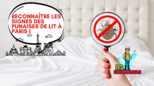 signes punaises lit paris 1