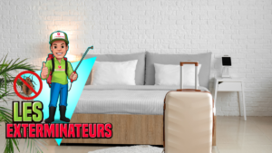 punaises de lit hôtel paris valise infestation