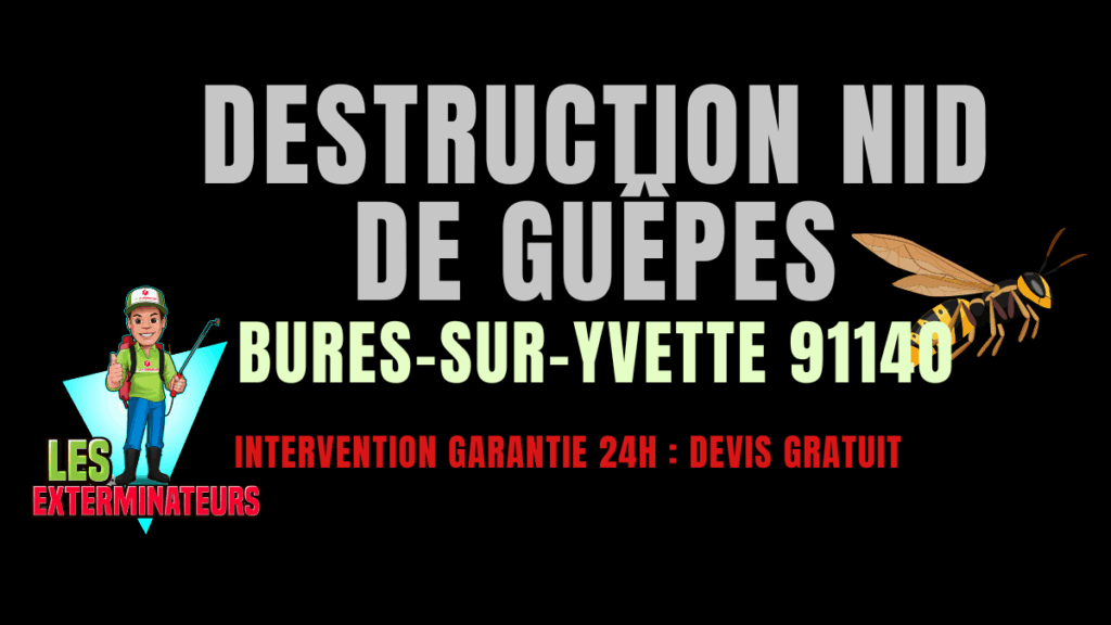 nid de guêpes Bures-sur-Yvette