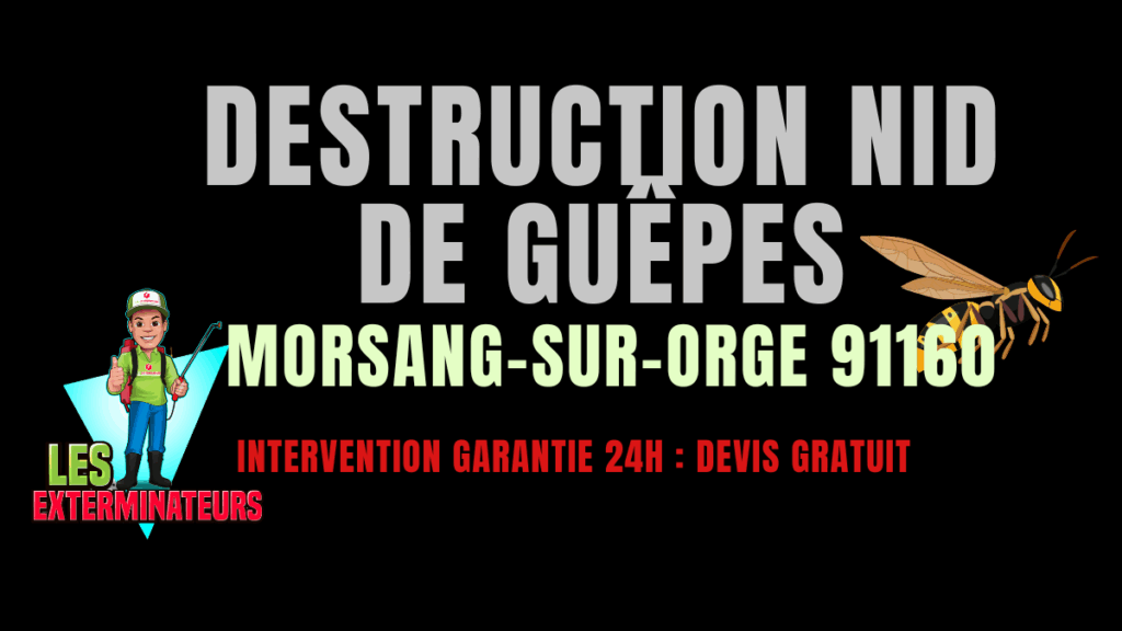 Destruction nids de guêpes Morsang-sur-Orge