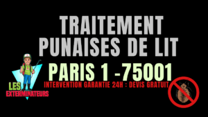 Traitement professionnel des punaises de lit à Paris 1 (75001) par Les Exterminateurs – intervention rapide et garantie.