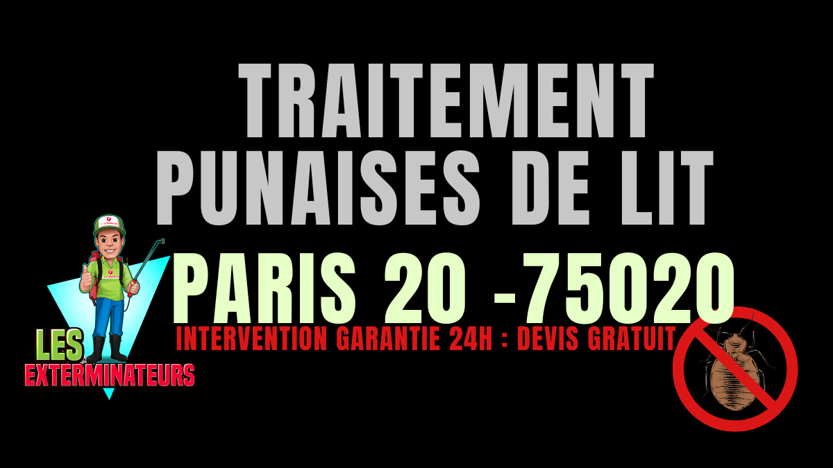 Traitement professionnel des punaises de lit à Paris 20 (75020) par Les Exterminateurs – intervention rapide et garantie à Belleville, Ménilmontant, Père Lachaise.
