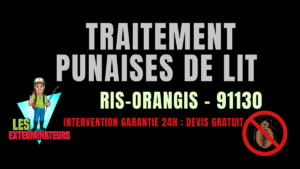 Traitement des punaises de lit à Ris-Orangis