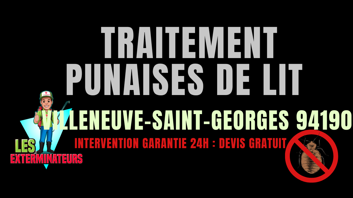 Punaises de lit Villeneuve-Saint-Georges