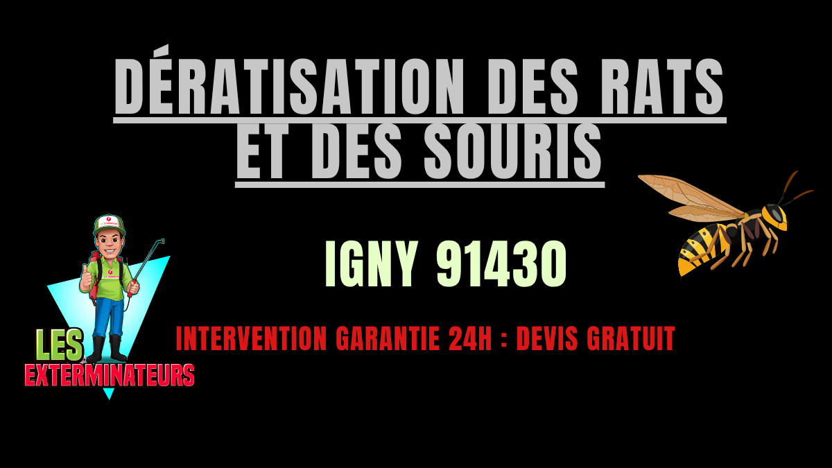 Dératisation des rats et des souris Igny