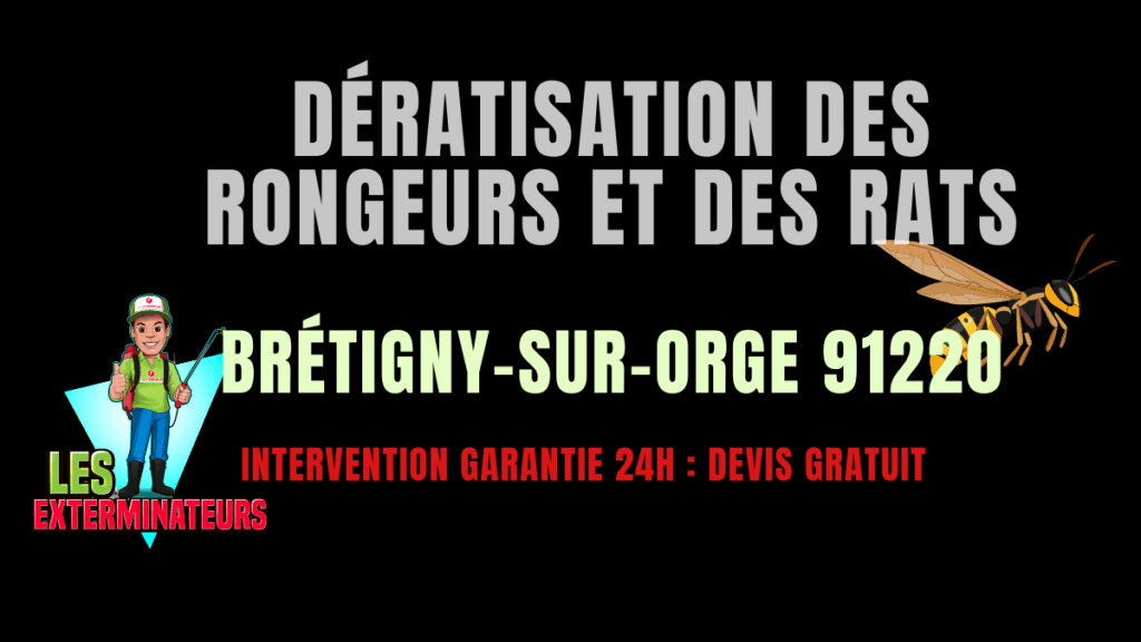 Dératisation des rongeurs et des rats Brétigny-sur-Orge