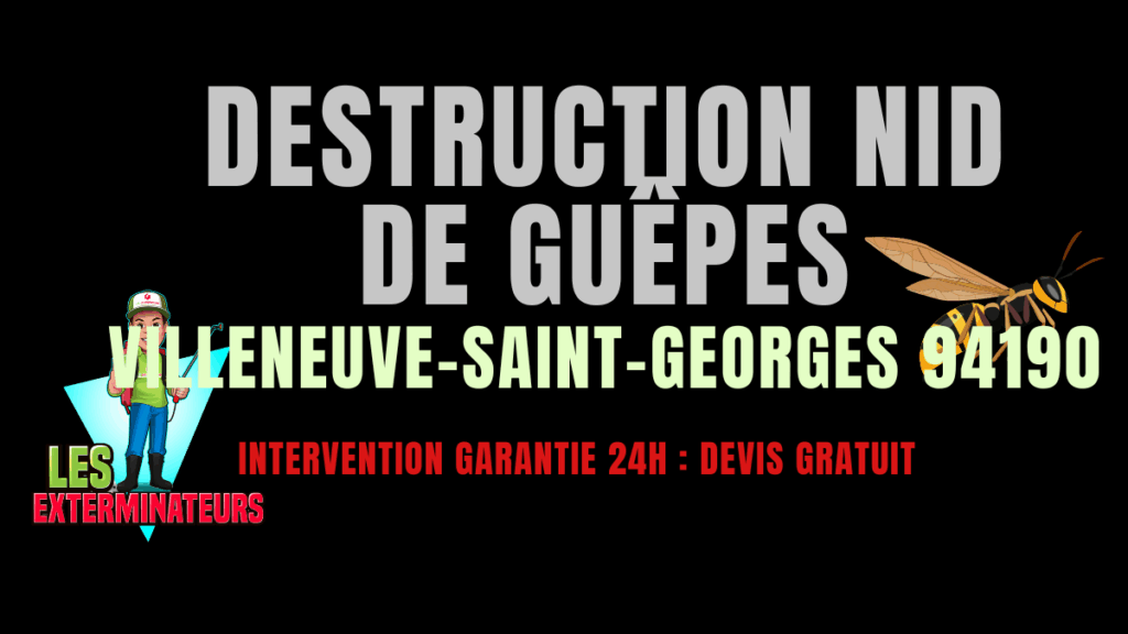 Nid de guêpes Villeneuve-Saint-Georges