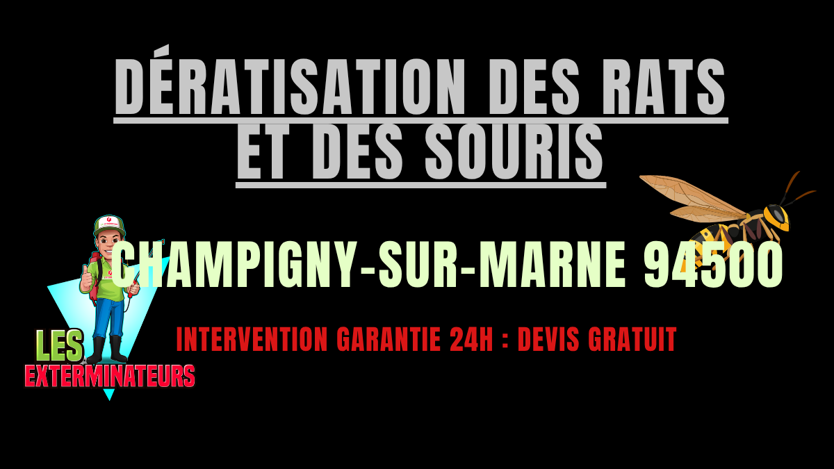 Dératisation des rats et des souris Champigny-sur-Marne