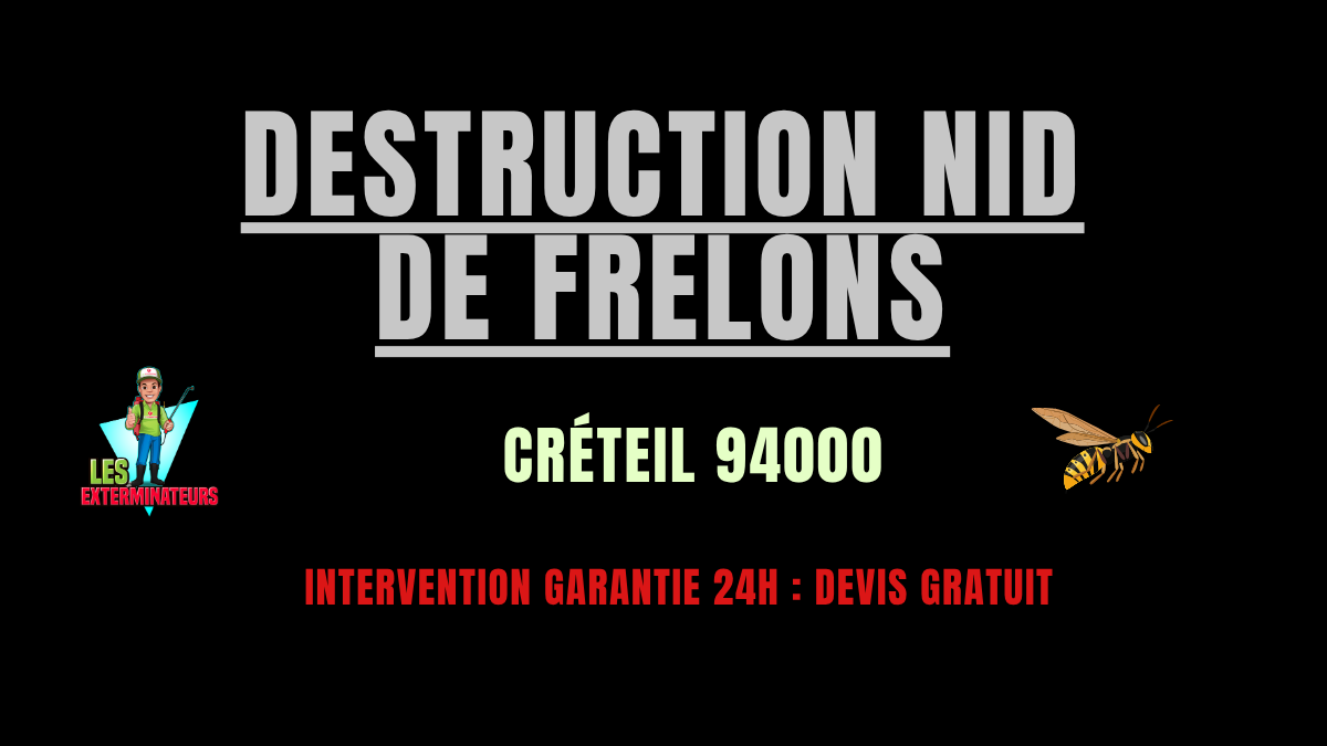 nid de frelons Créteil