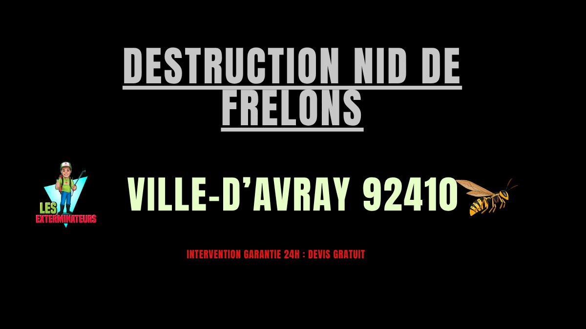 Destruction nid de frelons Ville-d’Avray